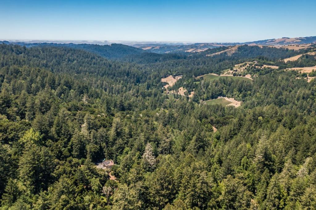 8946 Alpine Road Property Photo 39