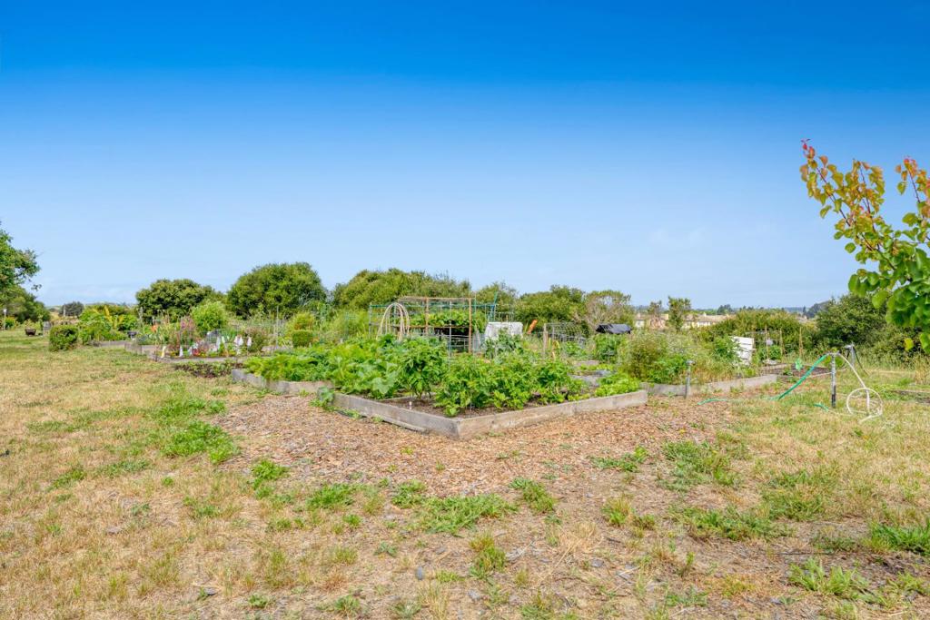 75 Paseo Drive Property Photo 28