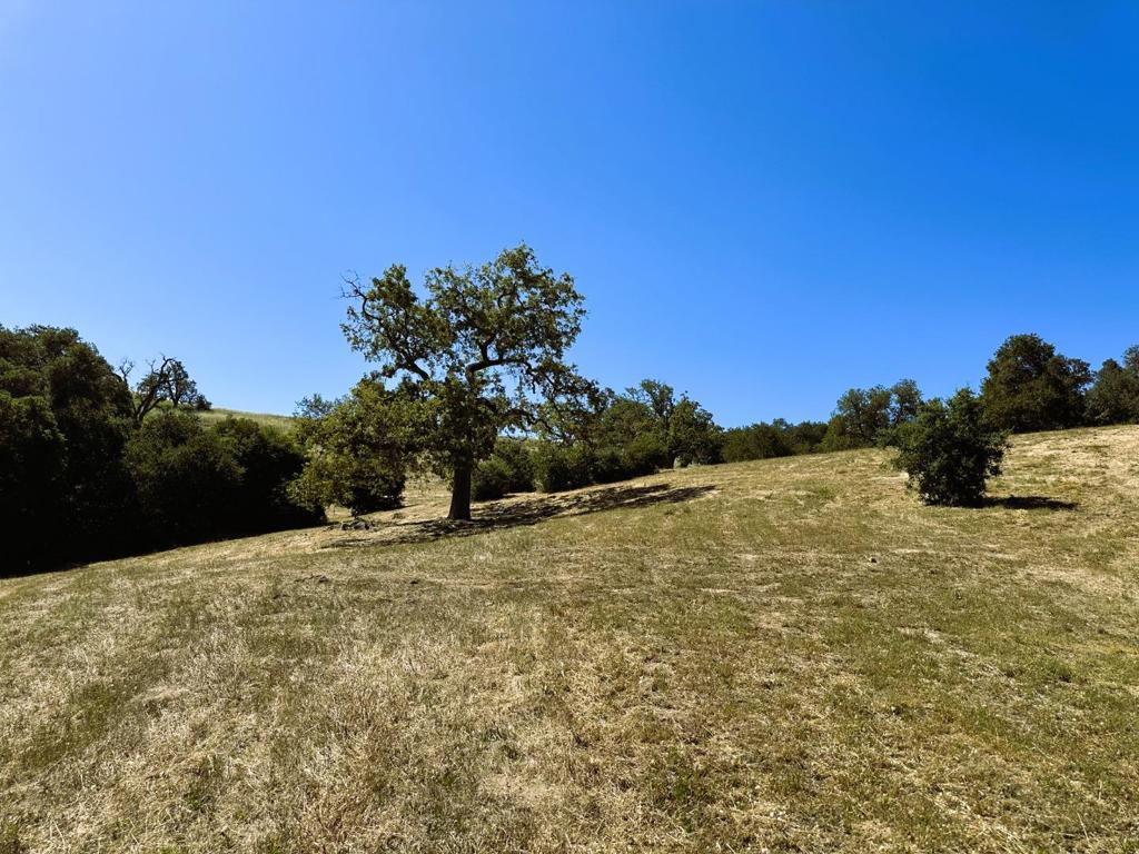37 E Pronghorn Property Photo 9