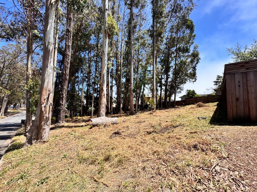 422 The Alameda Property Photo 1