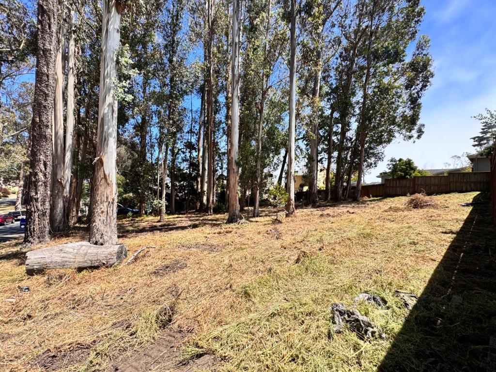422 The Alameda Property Photo 2