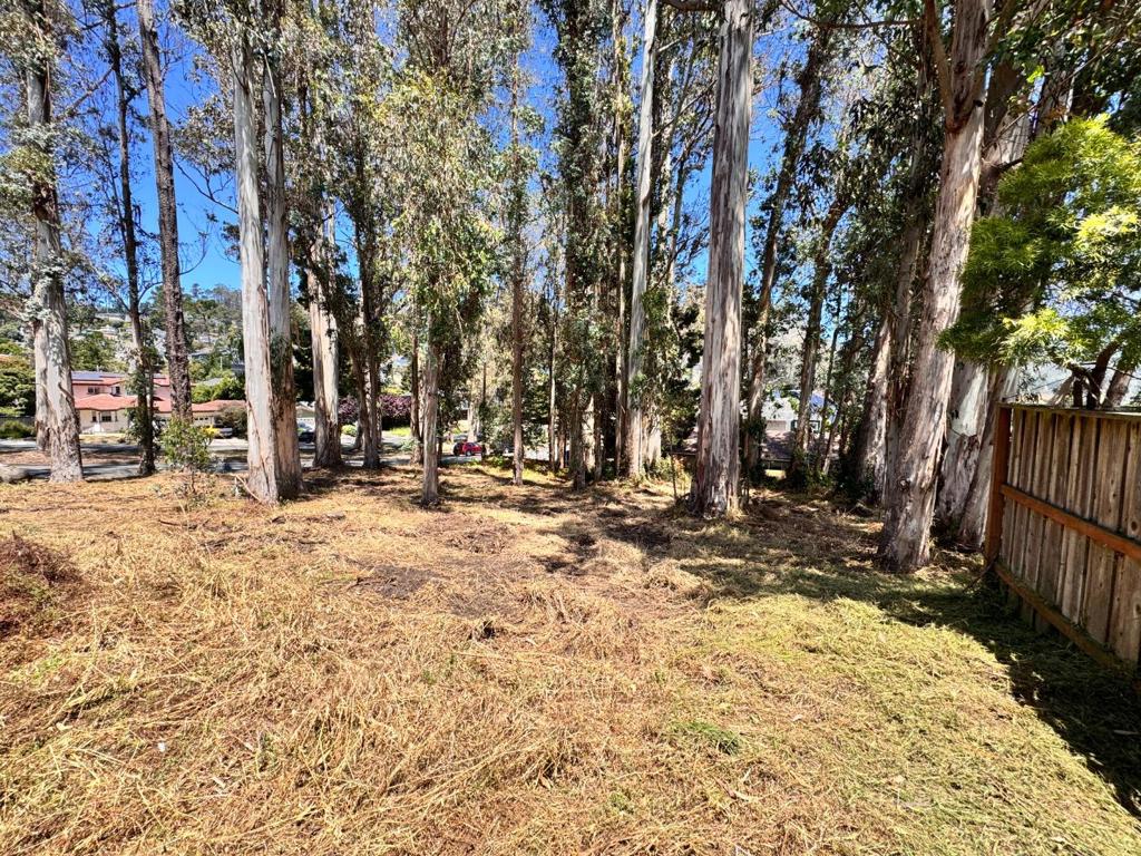 422 The Alameda Property Photo 3