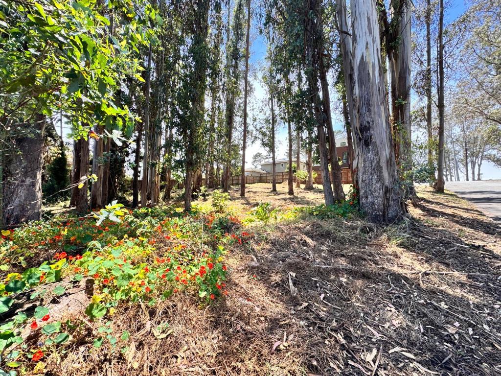 422 The Alameda Property Photo 4