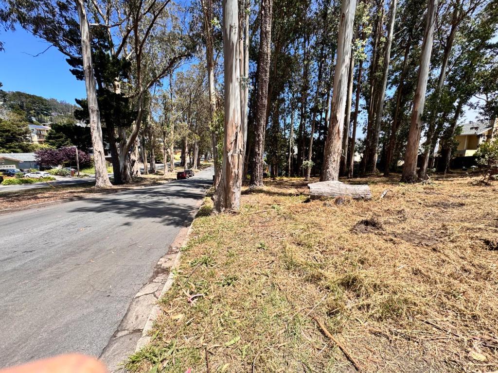 422 The Alameda Property Photo 7