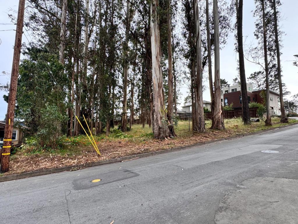 422 The Alameda Property Photo 8