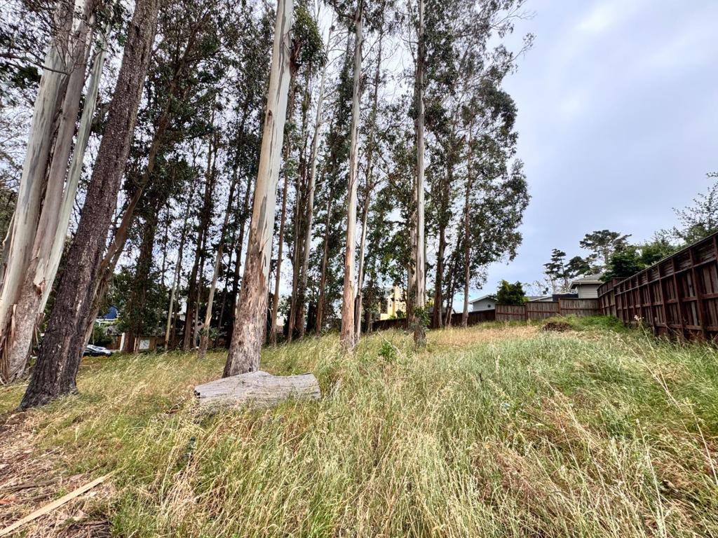 422 The Alameda Property Photo 9