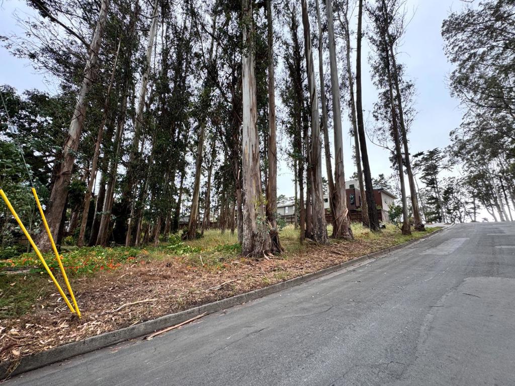 422 The Alameda Property Photo 10