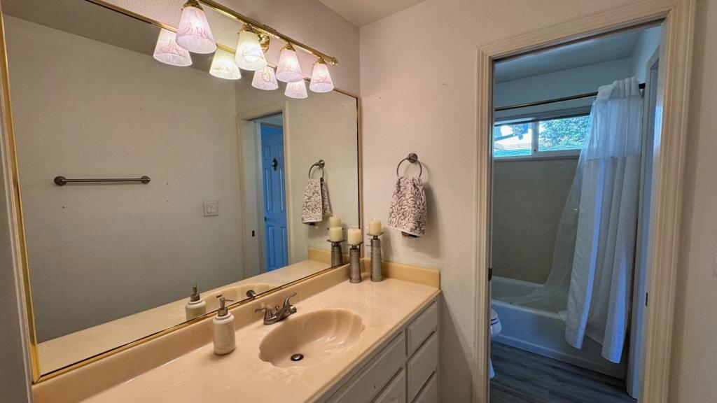 206 Meadow Creek Court Property Photo 20