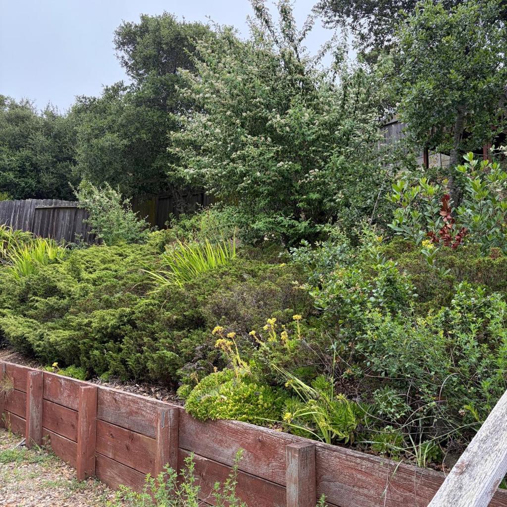 34 Cottage Lane Property Photo 29