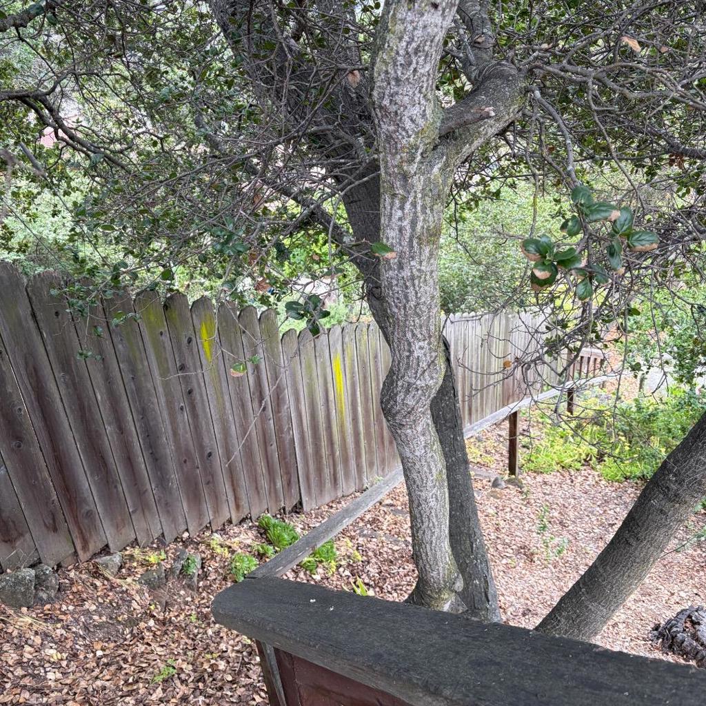 34 Cottage Lane Property Photo 31