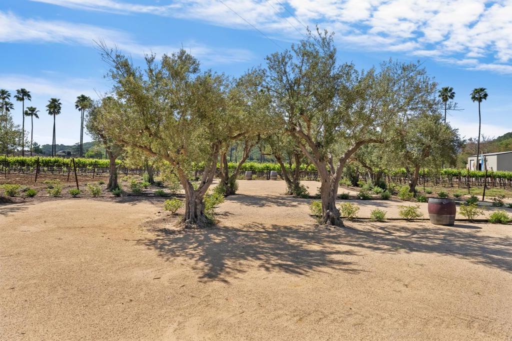 11775 Watsonville Road Property Photo 15