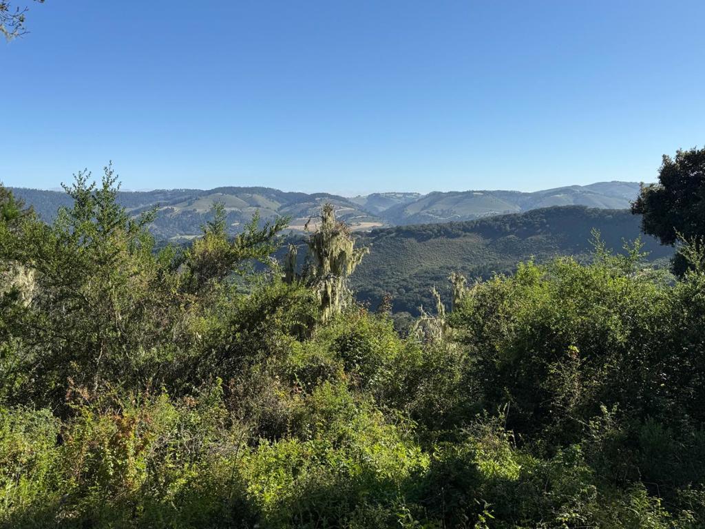 6 Rancho San Carlos (lot E10) Road Property Photo 2