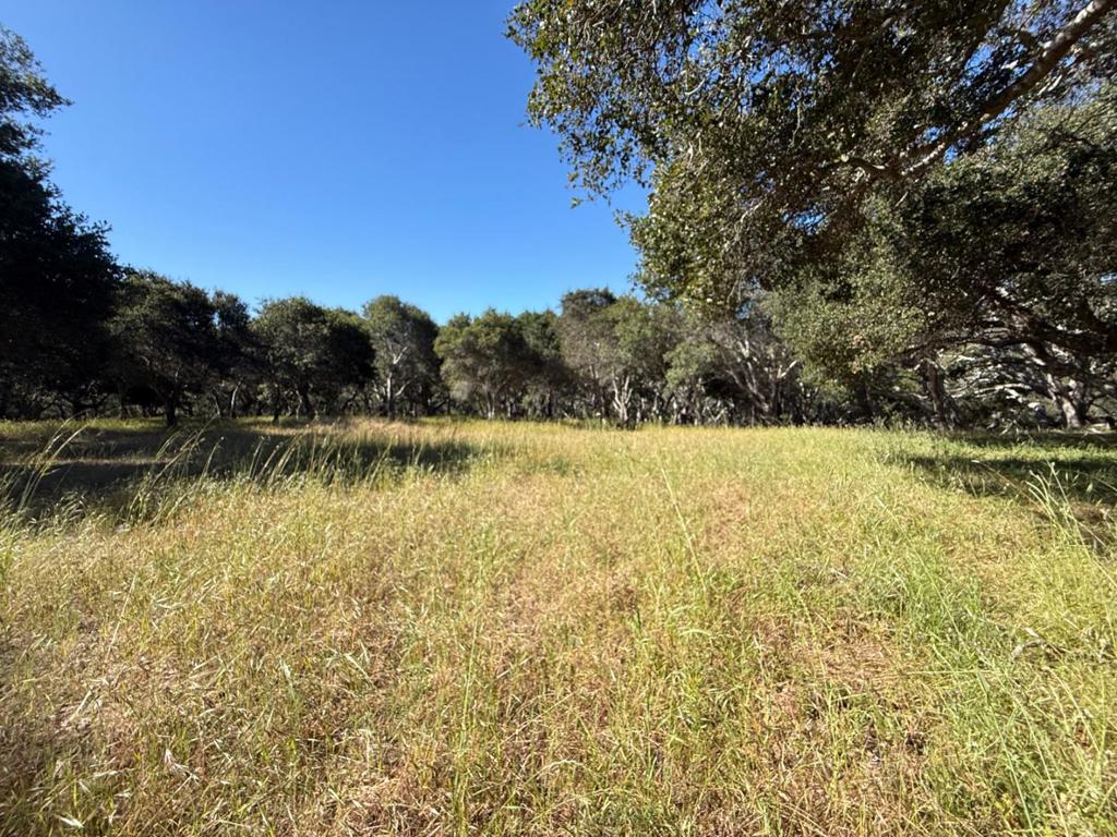 6 Rancho San Carlos (lot E10) Road Property Photo 12