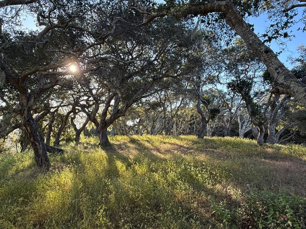 6 Rancho San Carlos (lot E10) Road Property Photo 16