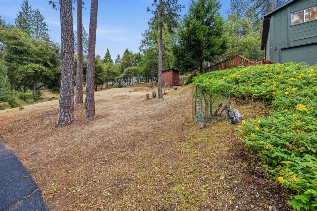 12910 Jackson Mill Drive Property Photo 38