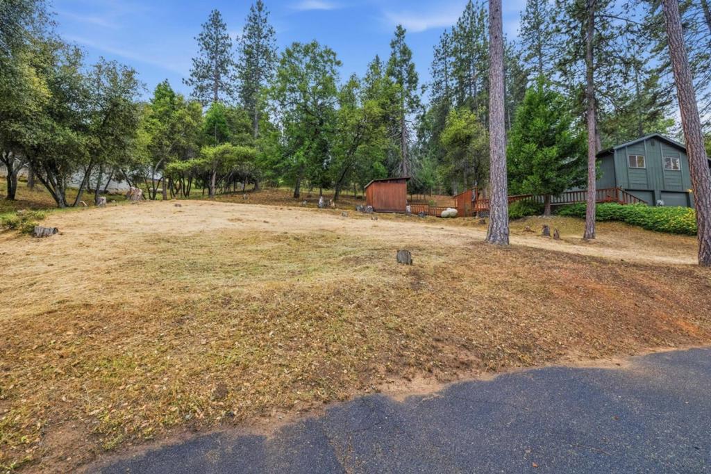 12910 Jackson Mill Drive Property Photo 40