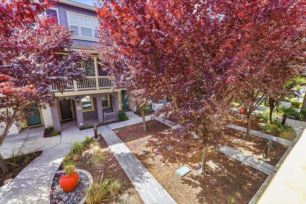 133 Incense Terrace Property Photo 50