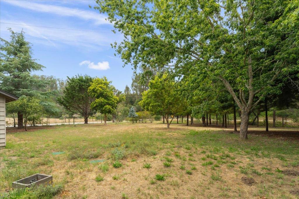 1645 Hames Road Property Photo 48