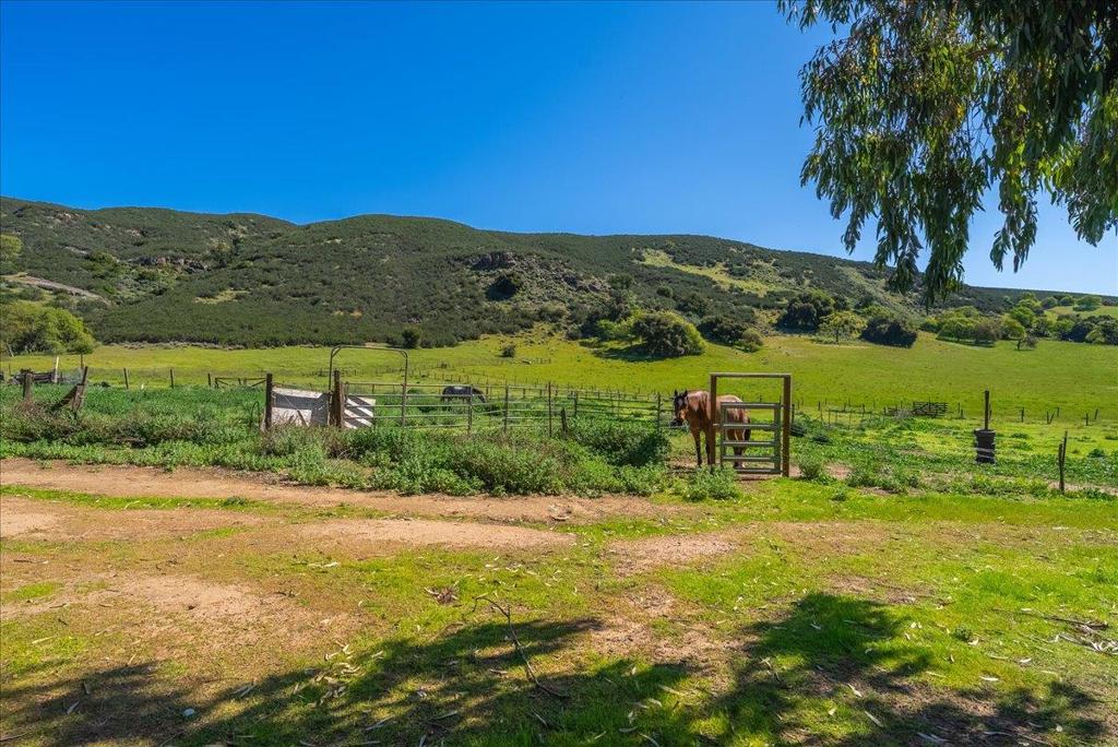 42001 Carmel Valley Road Property Photo 10