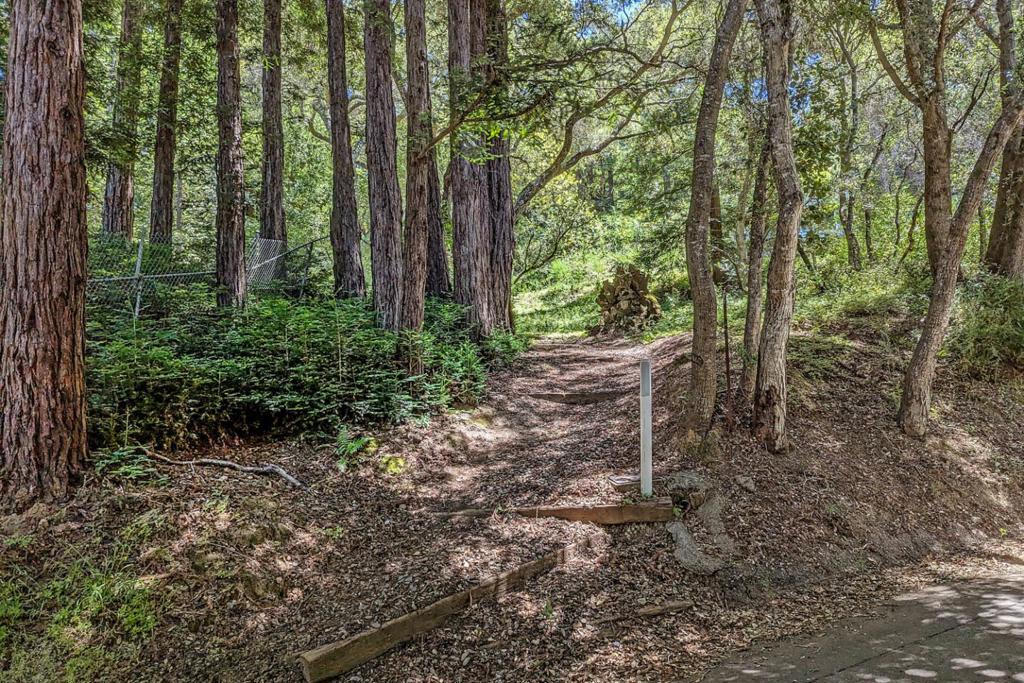 855 Patrol Road Property Photo 35