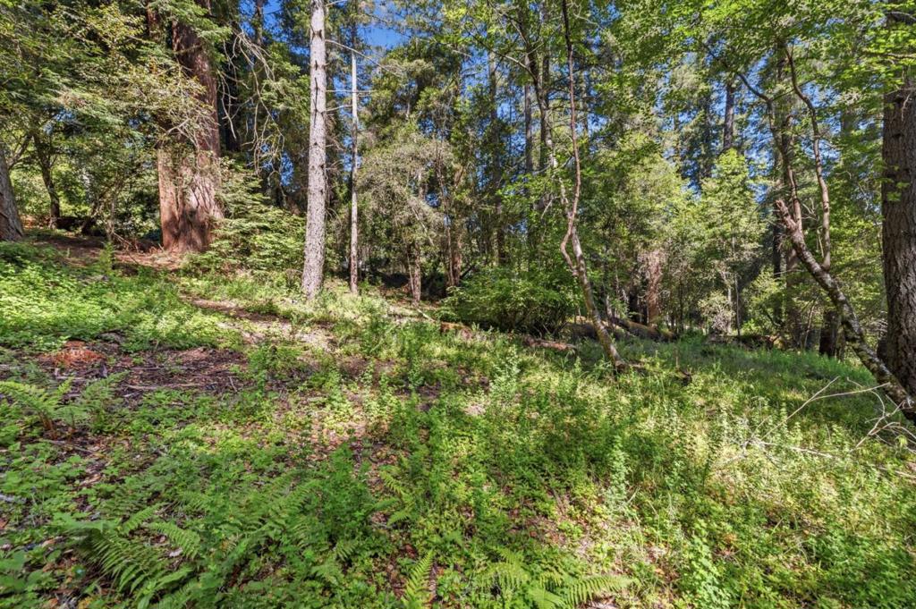 0 Garfield Way Property Photo 4