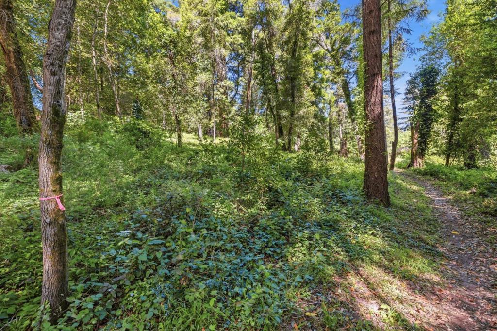 0 Garfield Way Property Photo 8