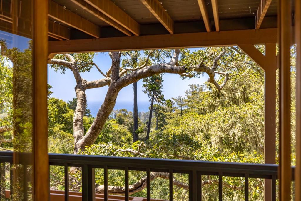 Corona Road Property Photo 10