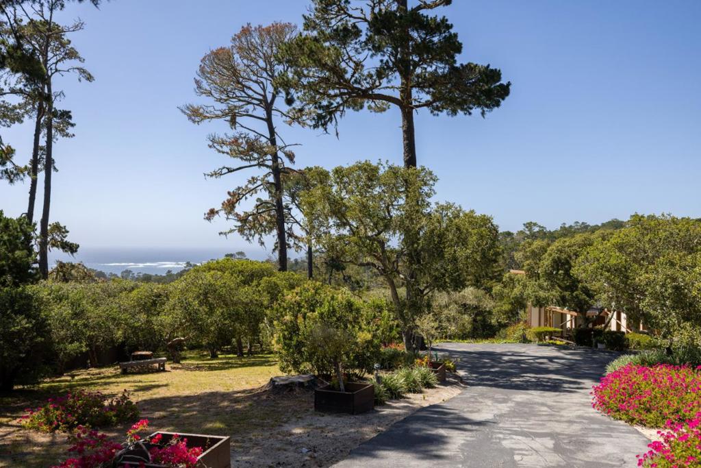 Corona Road Property Photo 31