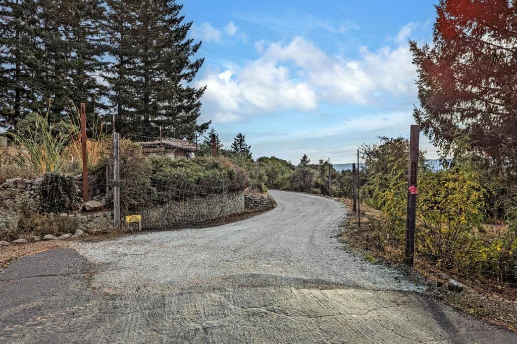 16420 Soda Springs Road Property Photo 33
