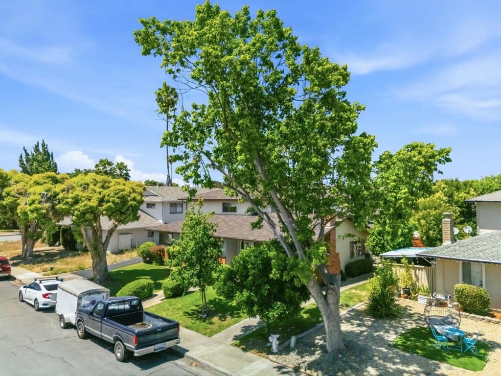 651 Belladonna Court Property Photo 3