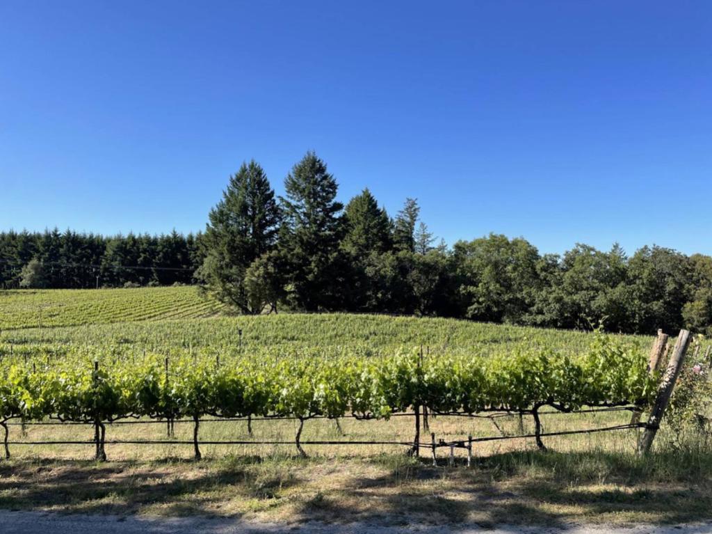 18516 Skyline Boulevard Property Photo 20