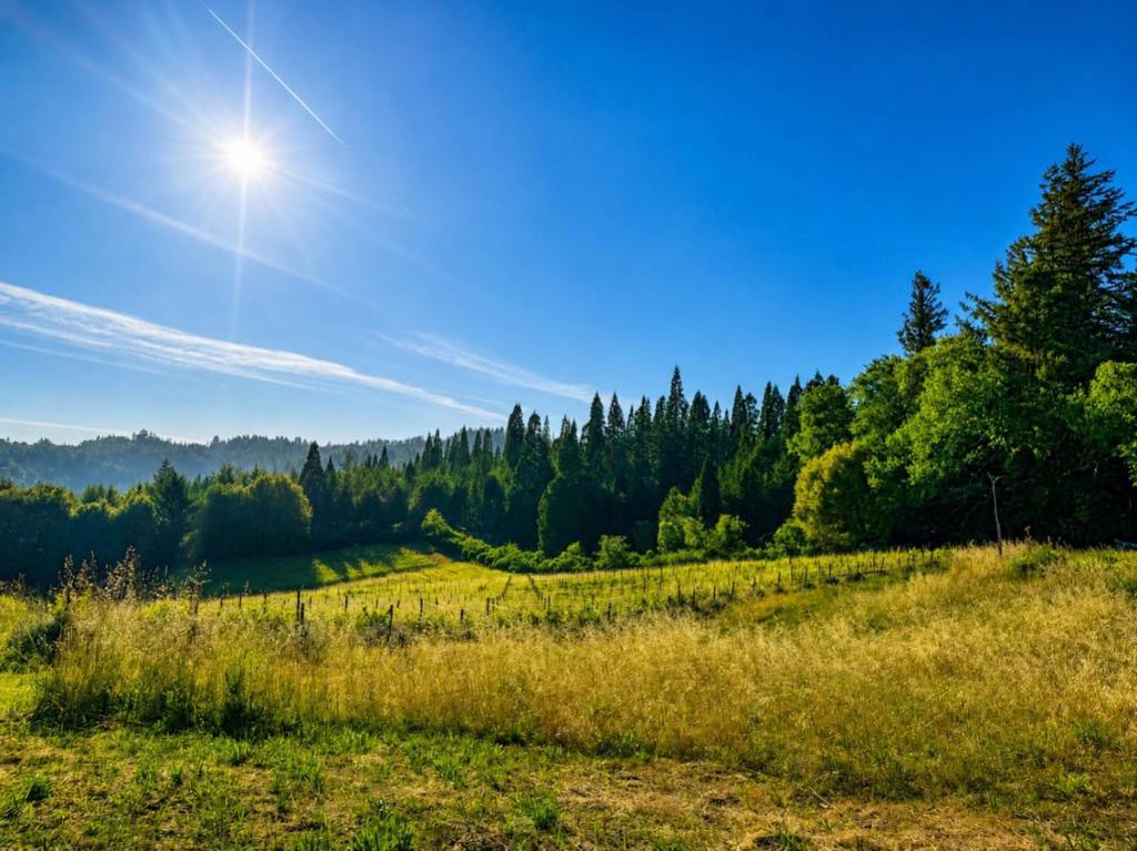 18516 Skyline Boulevard Property Photo 22