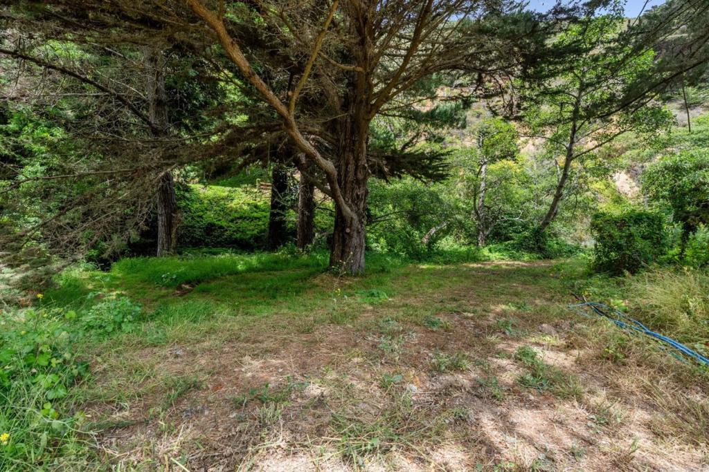 39350 Coast Road Property Photo 11