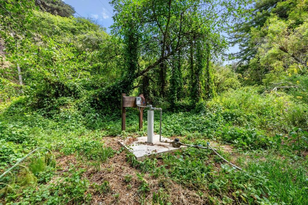 39350 Coast Road Property Photo 12