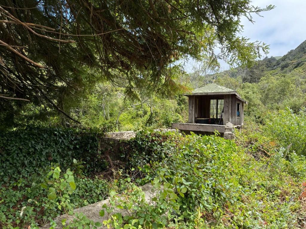 39350 Coast Road Property Photo 16
