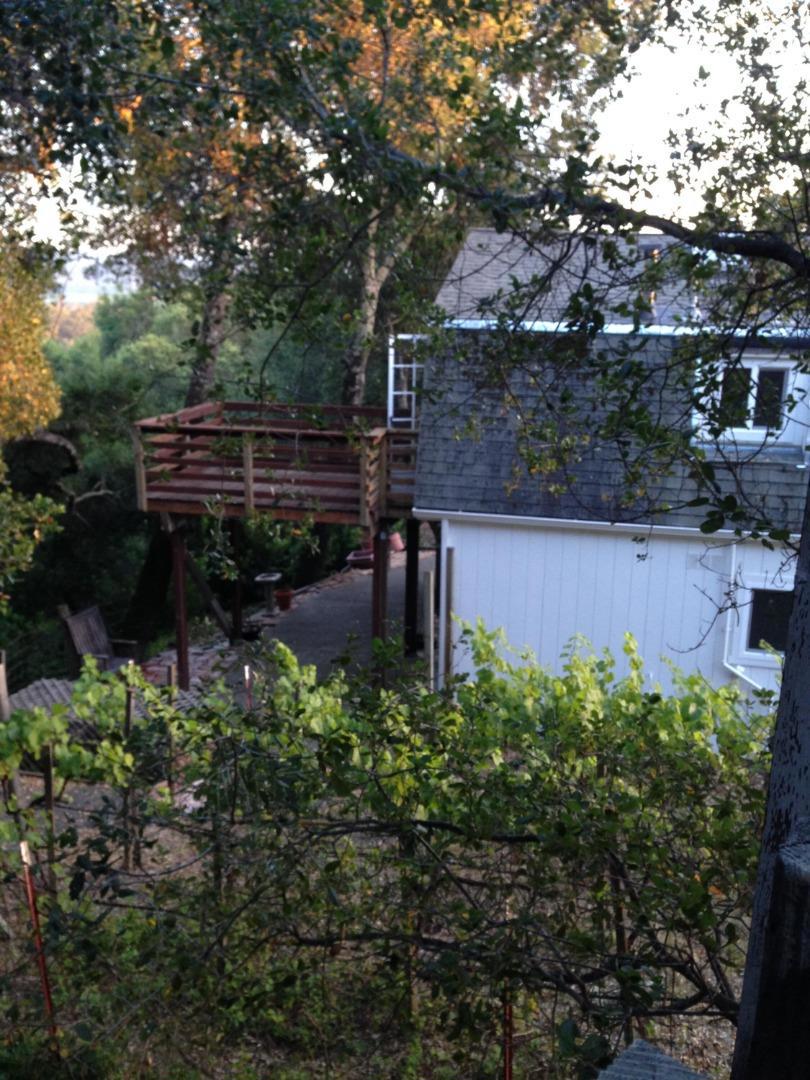 26824 Walnut Property Photo 18