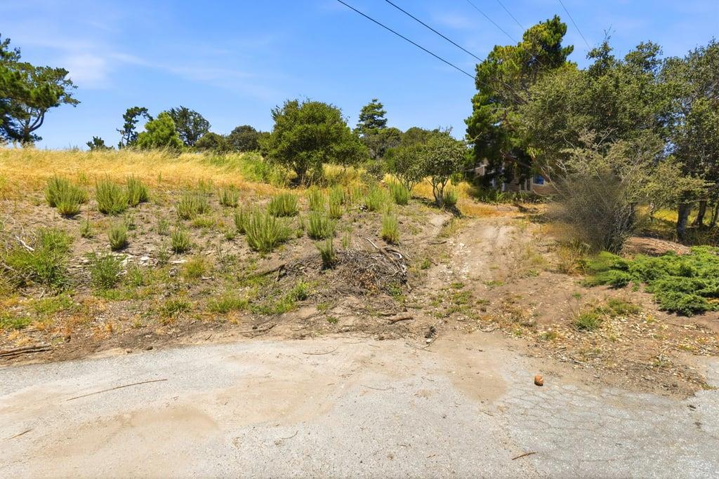 4215 Marguerita Way Property Photo 21