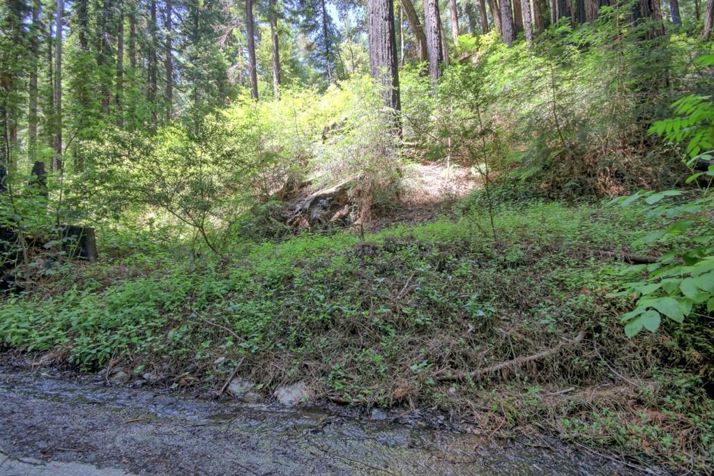154 Leafwood Drive Property Photo 3