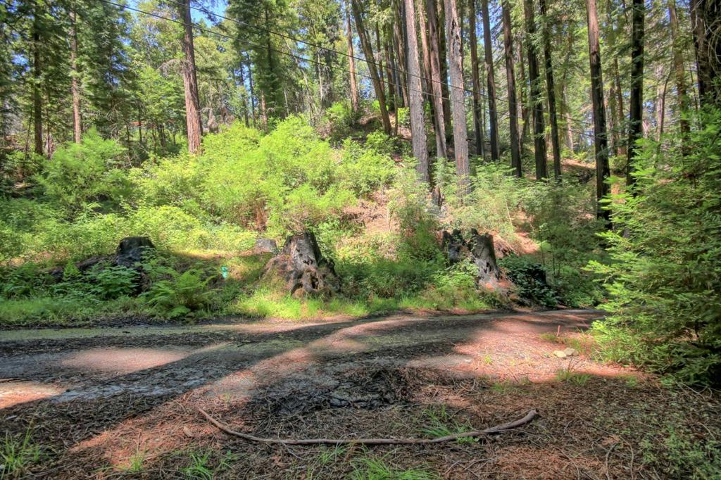 154 Leafwood Drive Property Photo 8