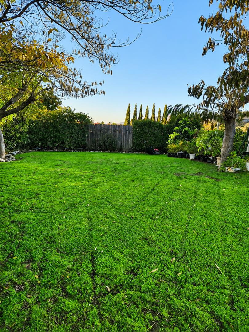 1565 Sierra Creek Way Property Photo 4
