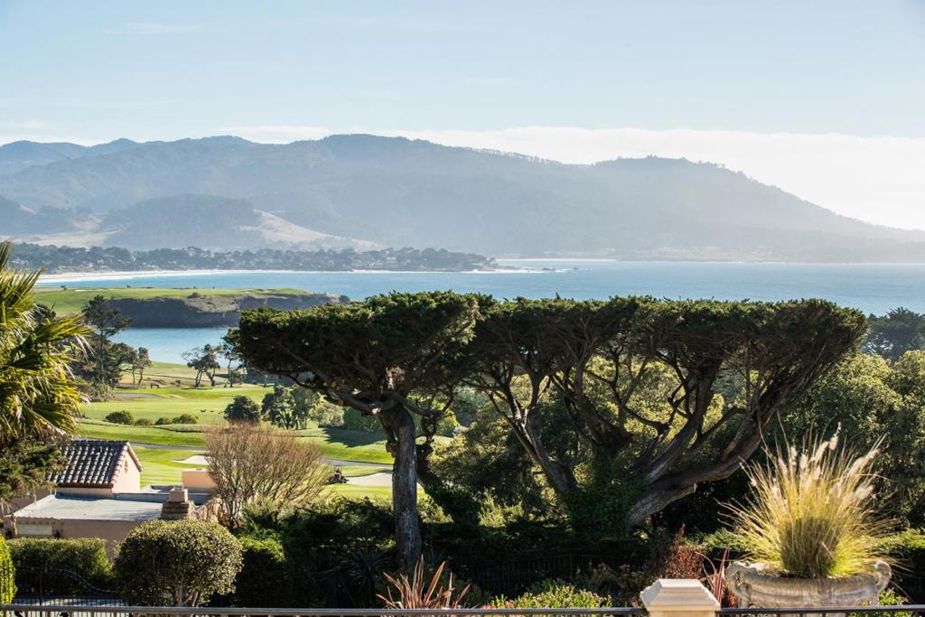 3321 17 Mile Drive Property Photo 17