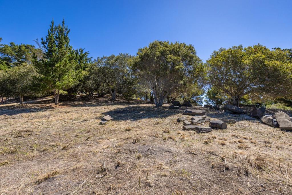 25330 Tierra Grande Drive Property Photo 6