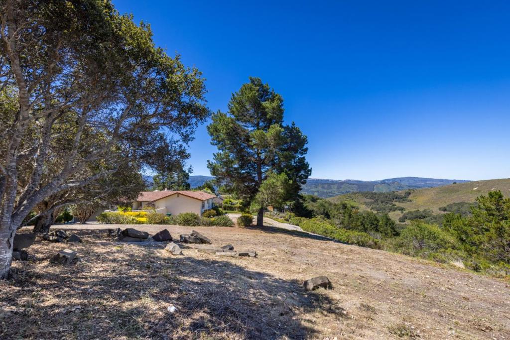 25330 Tierra Grande Drive Property Photo 7