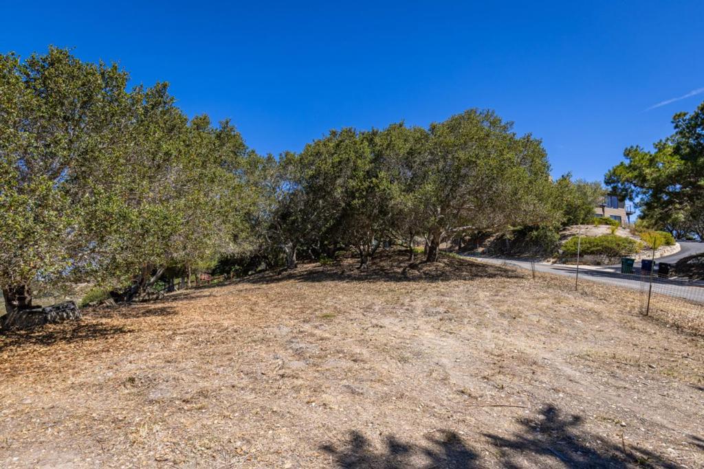 25330 Tierra Grande Drive Property Photo 8