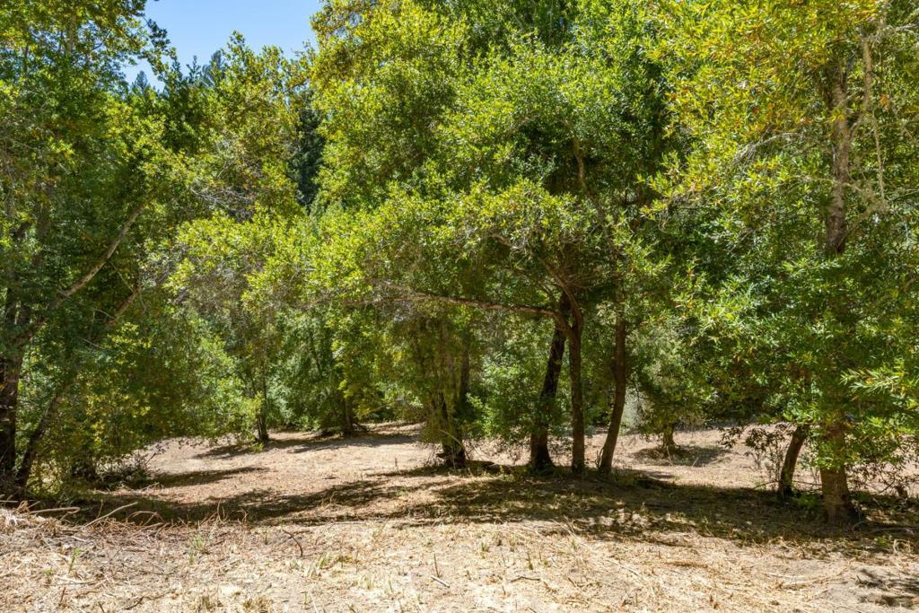 0 Glenwood Drive Property Photo 11