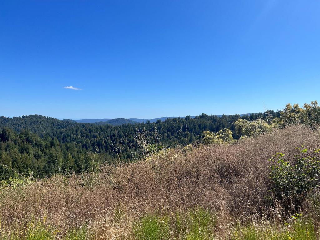 Bear Creek Road Property Photo 1