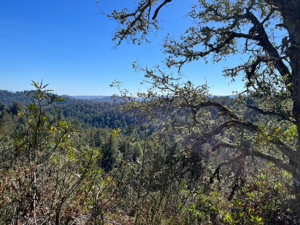 Bear Creek Road Property Photo 2