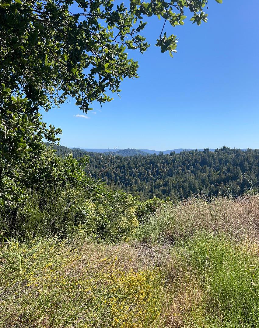 Bear Creek Road Property Photo 3