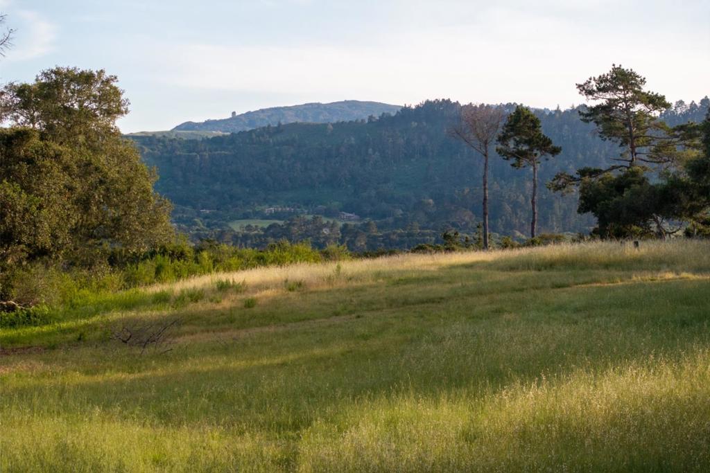 5155 Carmel Valley Road Property Photo 2