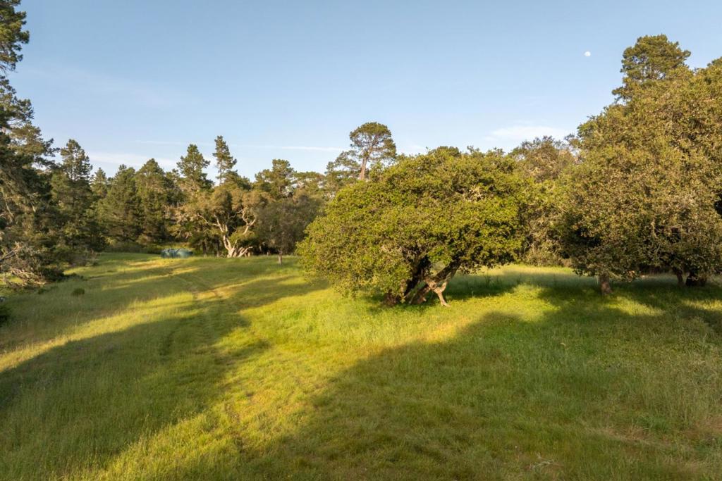 5155 Carmel Valley Road Property Photo 10